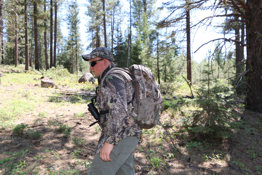 Read more about the article International Hunting Laws: What You Need to Know.