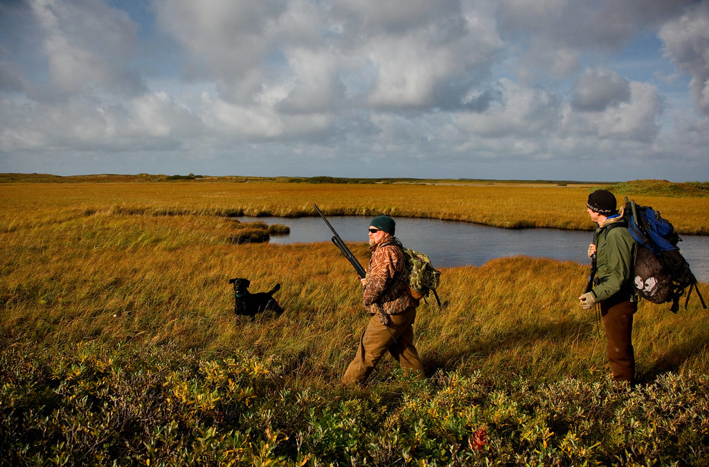 Read more about the article The Ultimate Guide to Waterfowl Hunting: Ducks, Geese, and More.