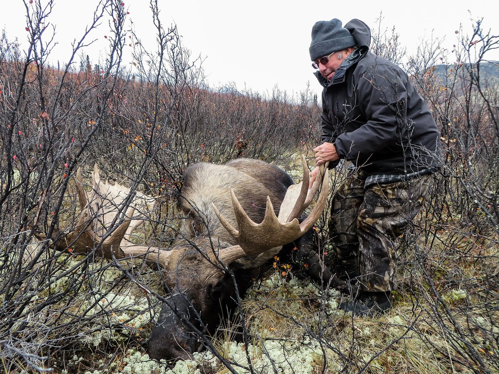 Read more about the article Navigating the Wilderness: Safety Tips for Remote Hunting