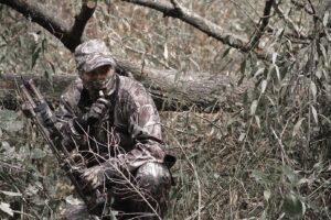 Read more about the article Introduction to Bowhunting: Gear, Techniques, and Tips