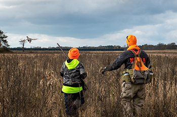 Read more about the article Michigan Upland Game Seasons: Pheasants, Quails, and More.