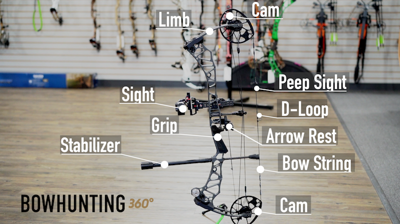 Read more about the article Choosing the Right Bow: A Buyer’s Guide