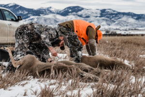 Read more about the article Field Dressing a Deer: A Step-by-Step Guide.