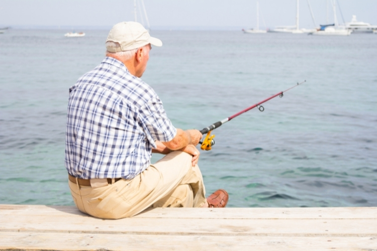 Read more about the article Senior Citizen Discounts on Hunting Licenses: State-by-State Guide.