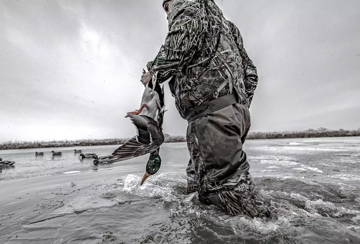 Read more about the article Waterfowl Hunting Myths Debunked: What Every Hunter Should Know.