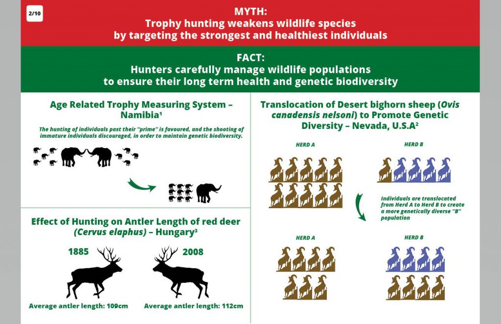 Read more about the article The Importance of Following Hunting Seasons: Legal and Ecological Perspectives