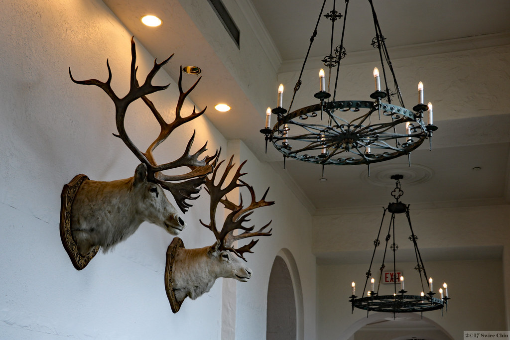 Read more about the article Luxury Hunting Destinations: Where Opulence Meets the Outdoors.