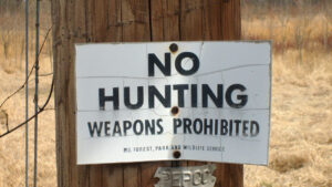 Read more about the article Hunting Ethics: A Guide for Responsible Hunters