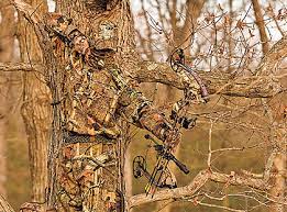 Read more about the article The Role of Camouflage in Bow Hunting”