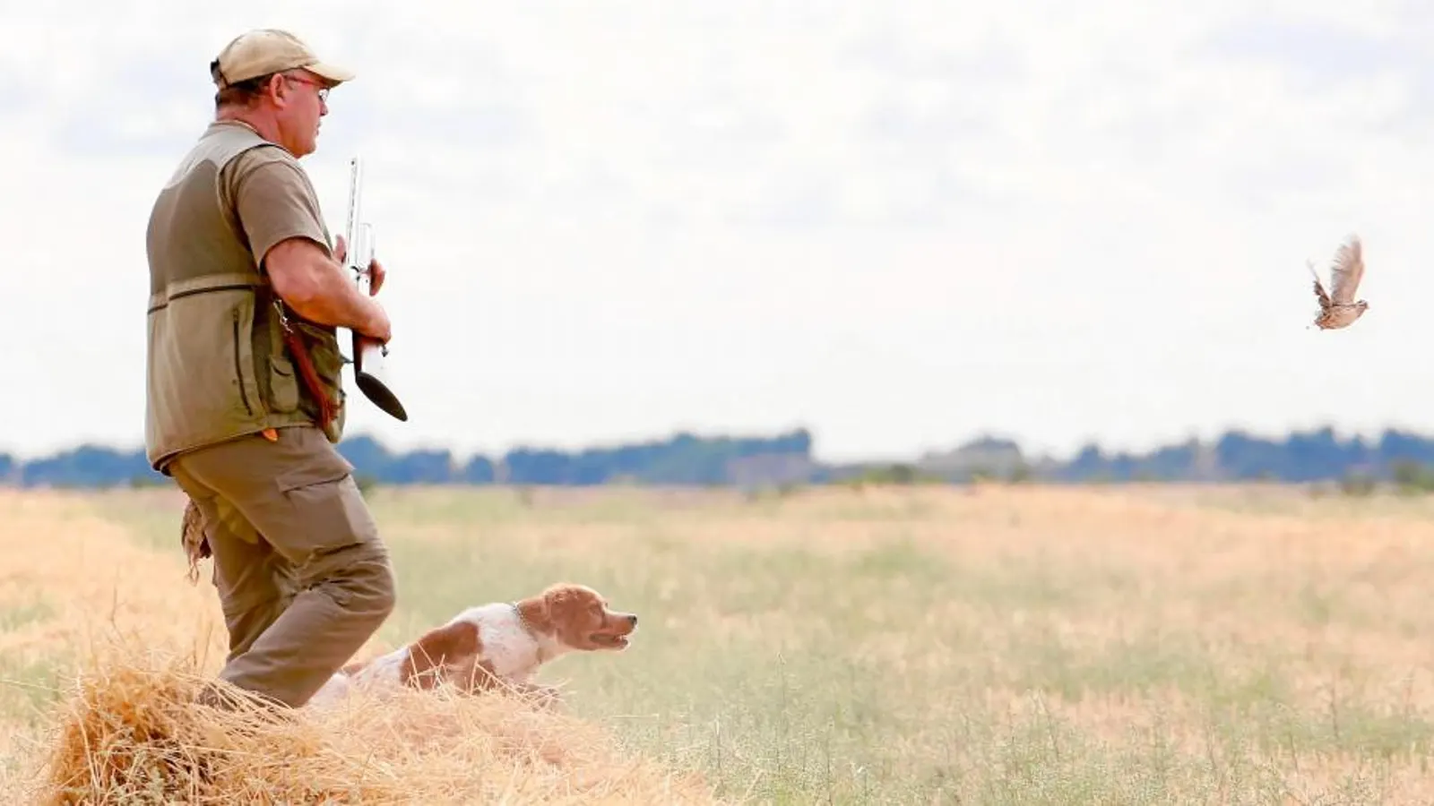 Read more about the article Complete Guide to Selecting Quail Hunting Ammunition