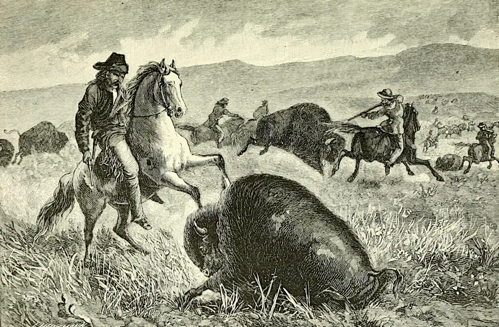 The Historical Significance of Bison Hunting