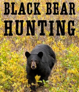 Read more about the article The Ultimate Guide to Black Bear Hunting: Navigating Ethics, Management, and Legislation