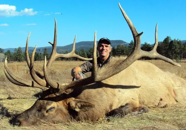 Read more about the article The Ultimate Guide to Elk Hunting in New Mexico
