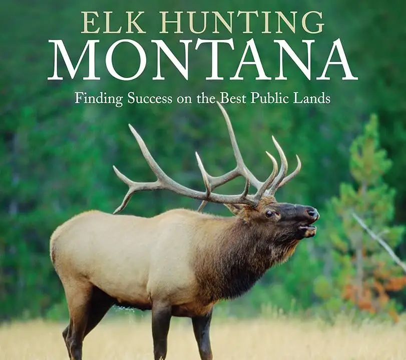 Read more about the article Ultimate Guide to Elk Hunting in Montana: A Premier Adventure
