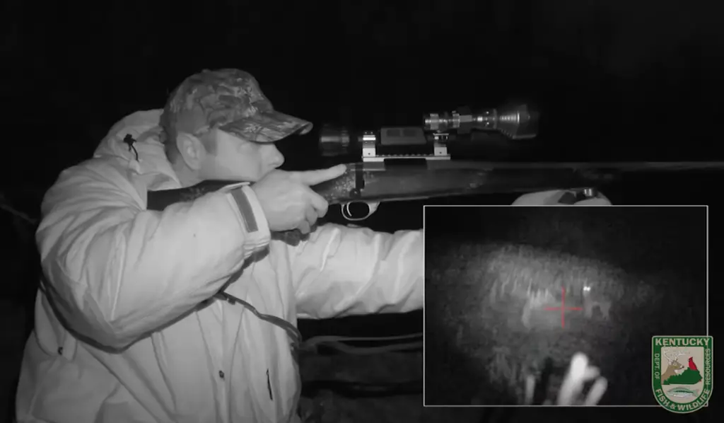 Mastering Coyote Hunting at Night: Techniques, Lights, and Legal Insights