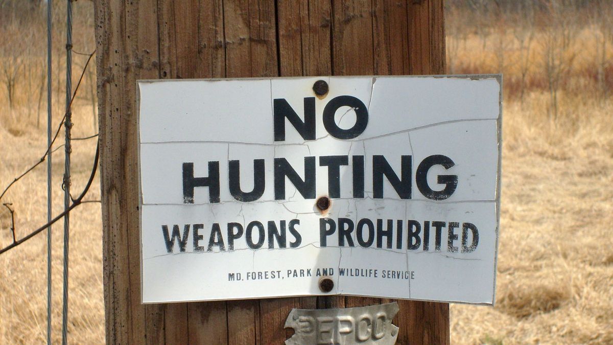Read more about the article Colorado hunting licenses