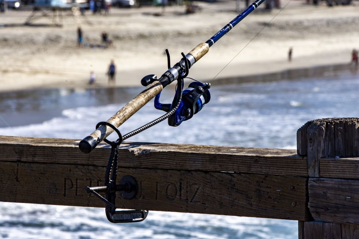 Read more about the article California fishing license
