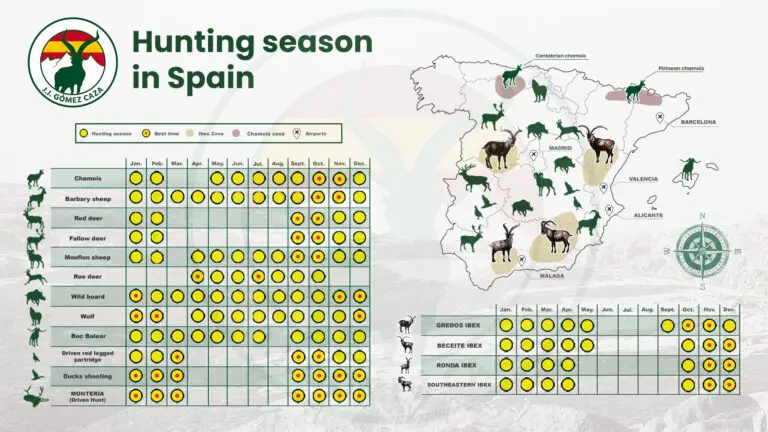 Best Dates to Hunt in Spain: Optimal Seasons and Regions