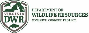 Understanding Virginia's Hunting License Requirements