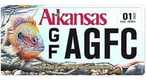 Read more about the article Arkansas Fishing Licenses