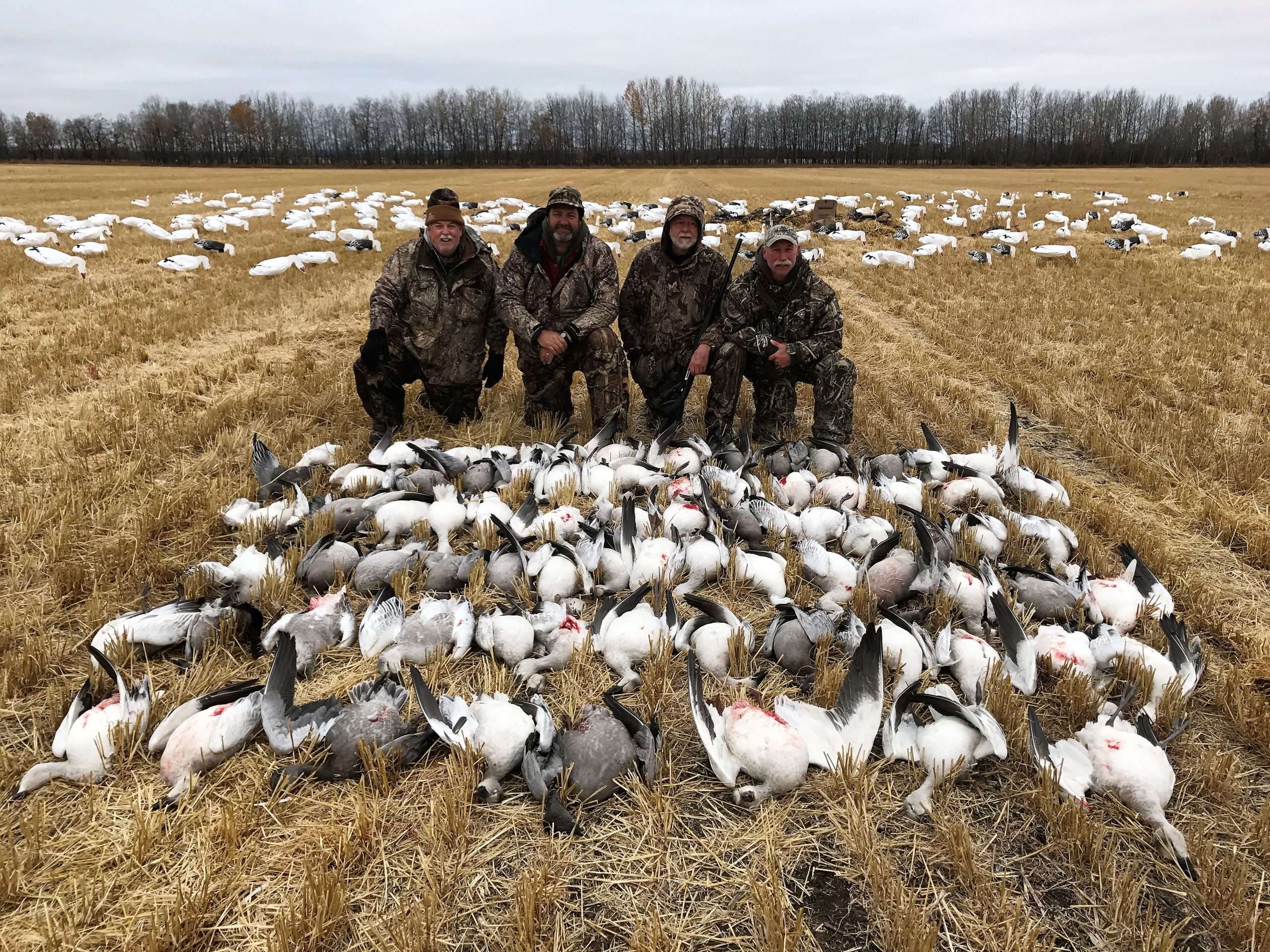 Read more about the article Ultimate Guide to Goose Hunting in Canada: Seasons, Licenses, and Best Locations